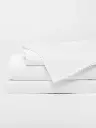 whitess_45183dd9-24b3-4a80-9975-5a6ac71111cf.webp