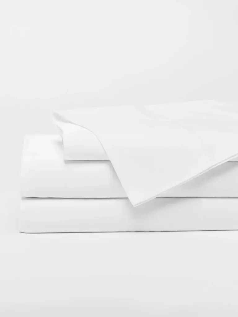 whitess_45183dd9-24b3-4a80-9975-5a6ac71111cf.webp