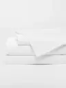 whitess_45183dd9-24b3-4a80-9975-5a6ac71111cf.webp