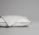 background-editor_output_cb9bd40e-f8e7-4dd7-a8f1-ae2e79f59304.webp