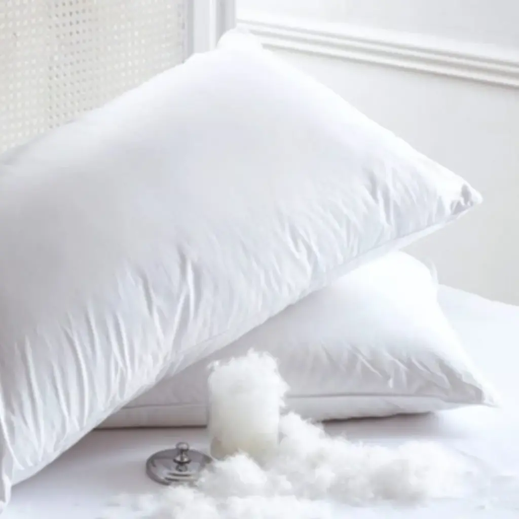 Oreiller en Duvet de Canard