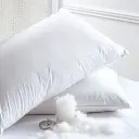 Oreiller en Duvet de Canard
