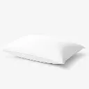 Oreiller en Duvet de Canard